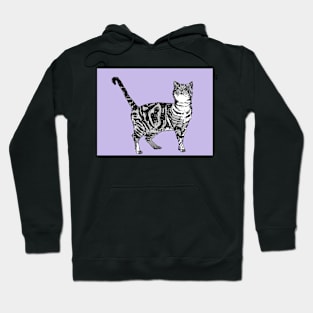 Tabby Cat Art Lilac Purple Pattern Hoodie